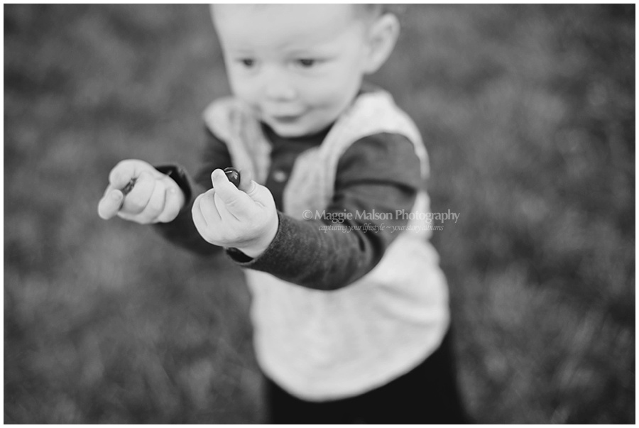 ©Weaver_DSC_2118_web