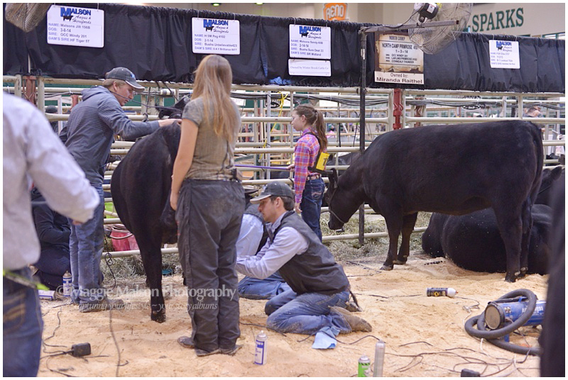 2015,Reno,WNAF, WNAF2015_DSC_4817_web.jpg