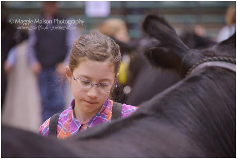2015,Reno,WNAF, WNAF2015_DSC_4836_web.jpg