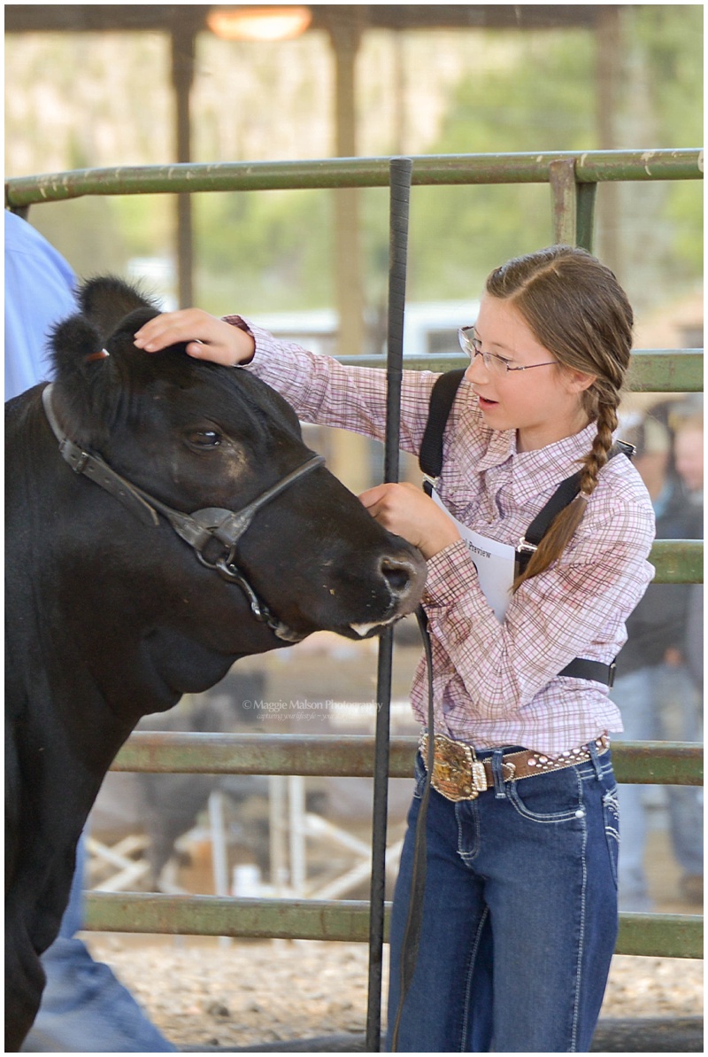 girl petting show cow