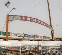 In the Yards