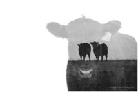 double exposure