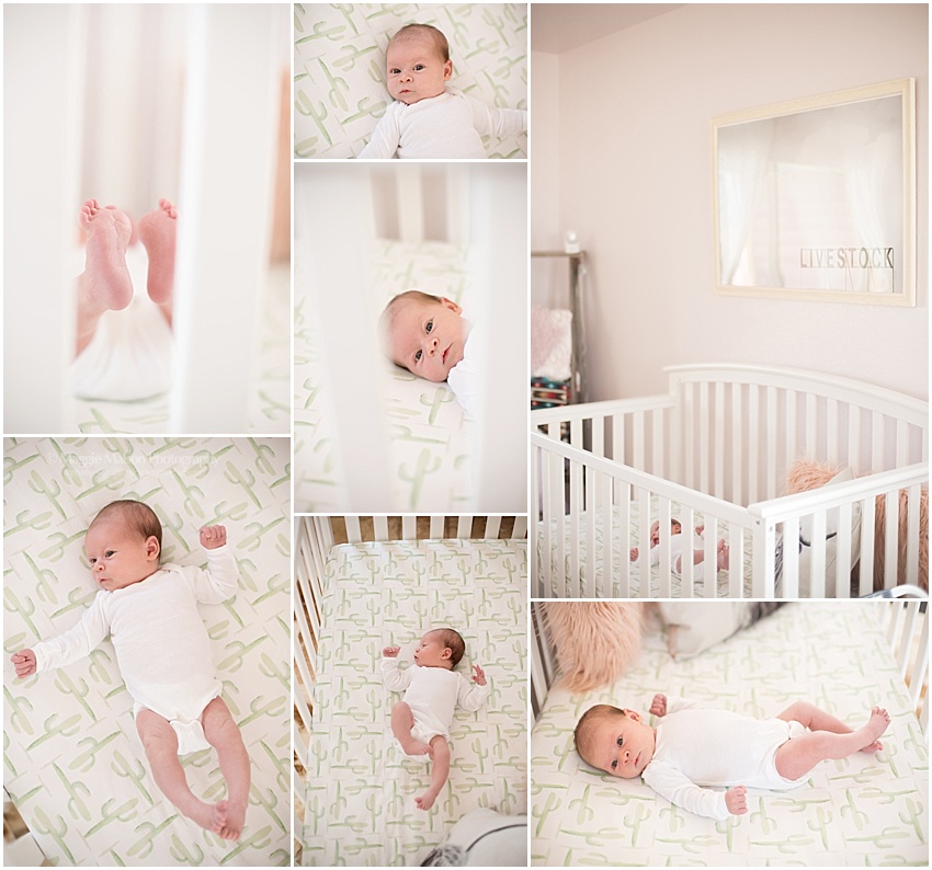 modern and feminine nursery