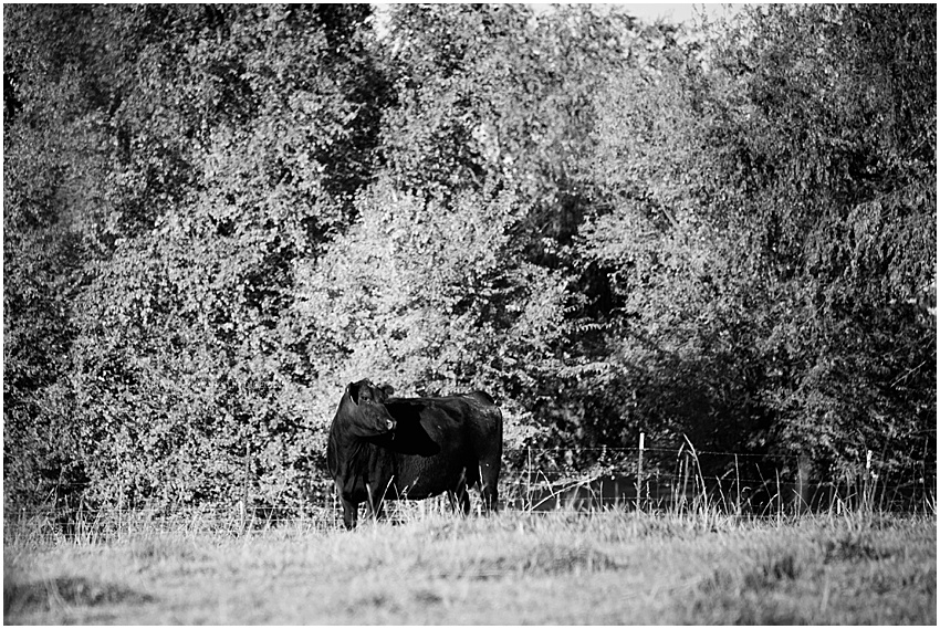 Fitch,Idaho,October 2019,country living,family portraits,on location, Fitch,Idaho,October 2019,country living,family portraits,on location,